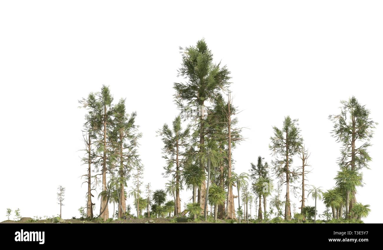 Forêt de l'ère mésozoïque isolé sur fond blanc 3D illustration Banque D'Images