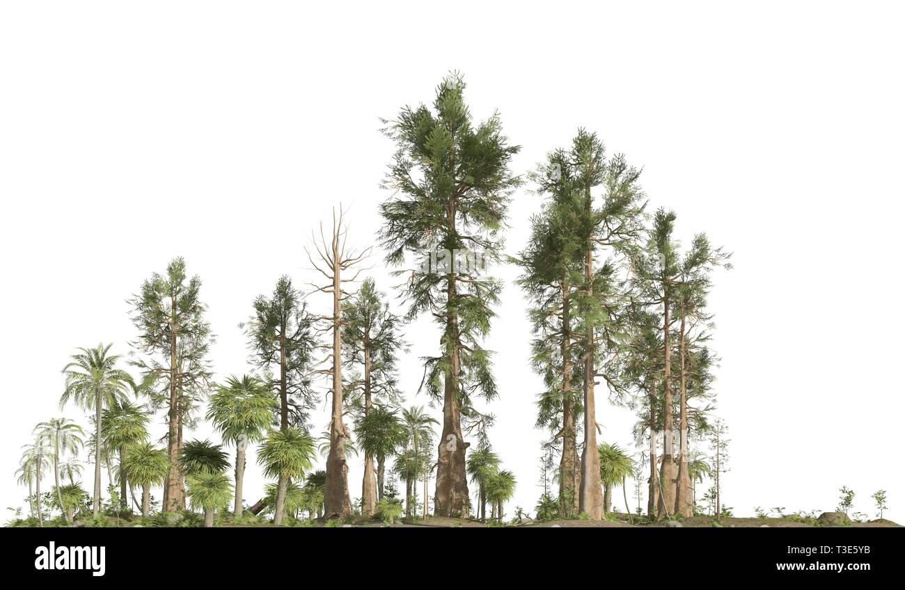 Forêt de l'ère mésozoïque isolé sur fond blanc 3D illustration Banque D'Images