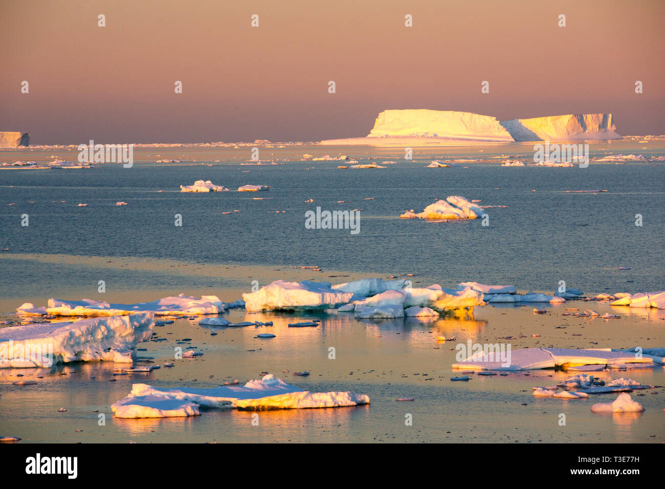 La glace de mer et des icebergs dans l'Antarctique Sound, mer de Weddell, l'Antarctique au crépuscule. Banque D'Images