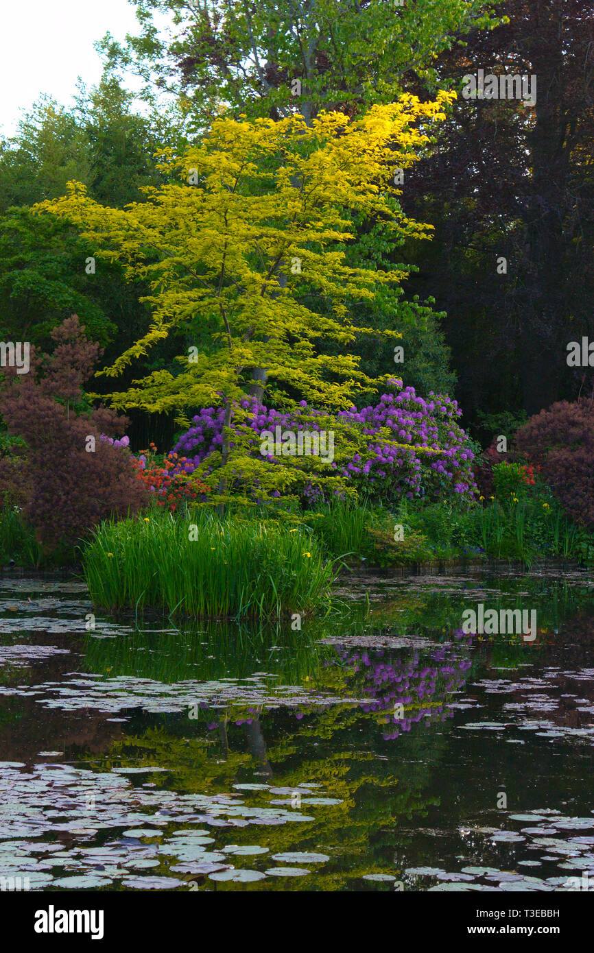 L'eau de Claude Monet à Giverny le jardin en Normandie, France Banque D'Images