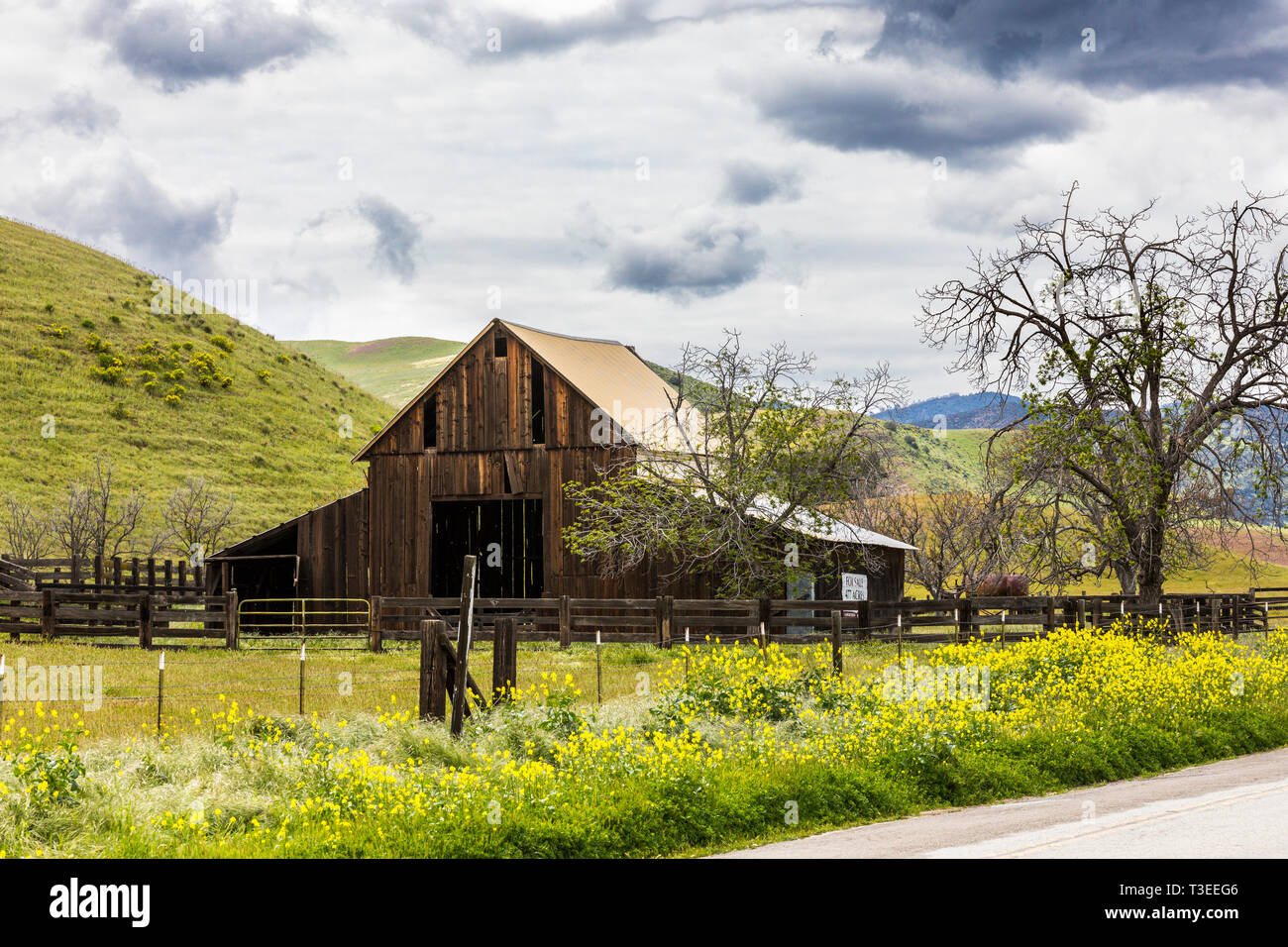 Une vieille grange en Californie centrale's Diablo Mountain Range 2019 printemps USA Banque D'Images