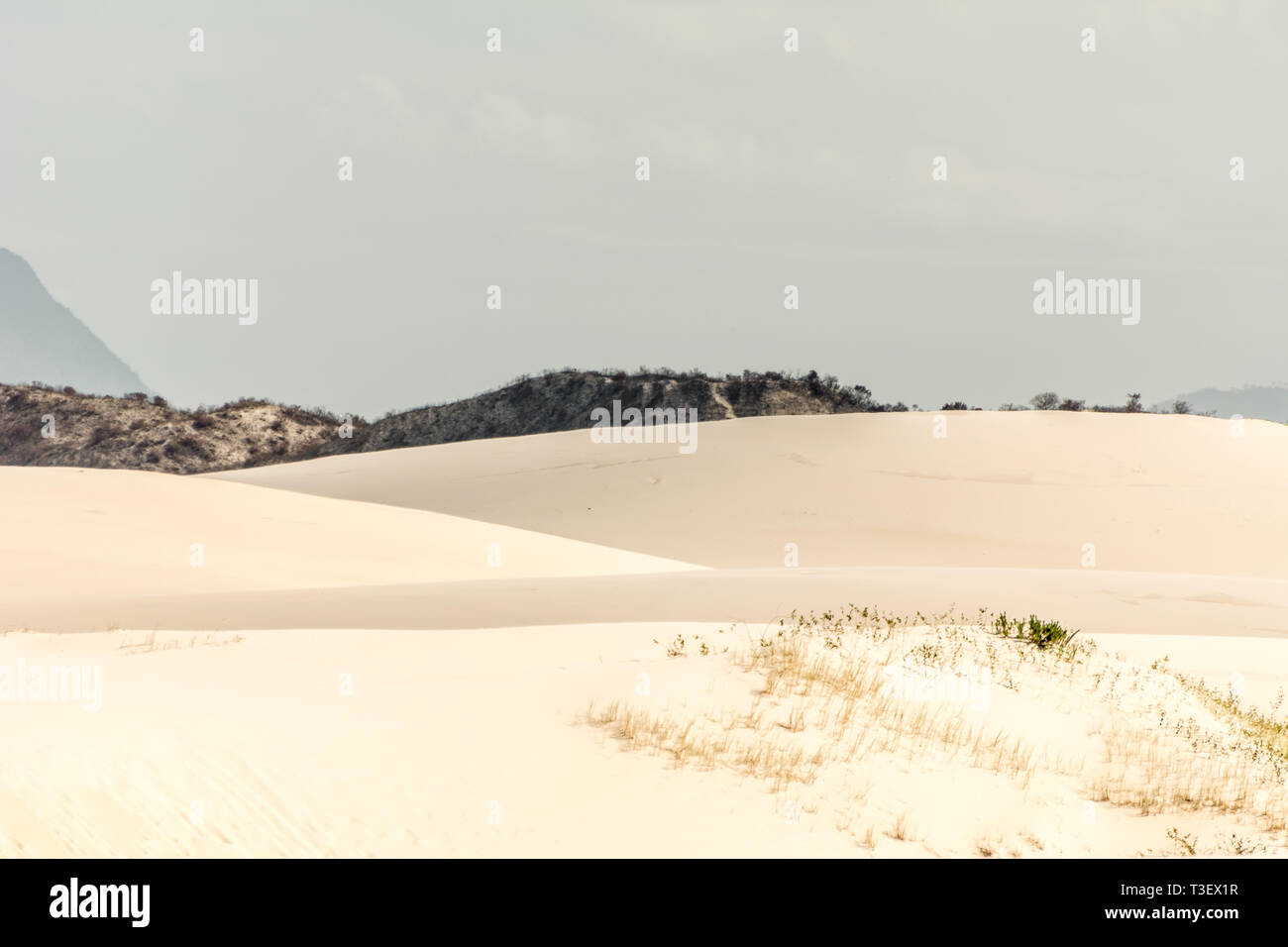2019, janvier. Florianopolis, Brésil. Montagnes de sable sur une zone de dunes de Joaquina Plage. Banque D'Images