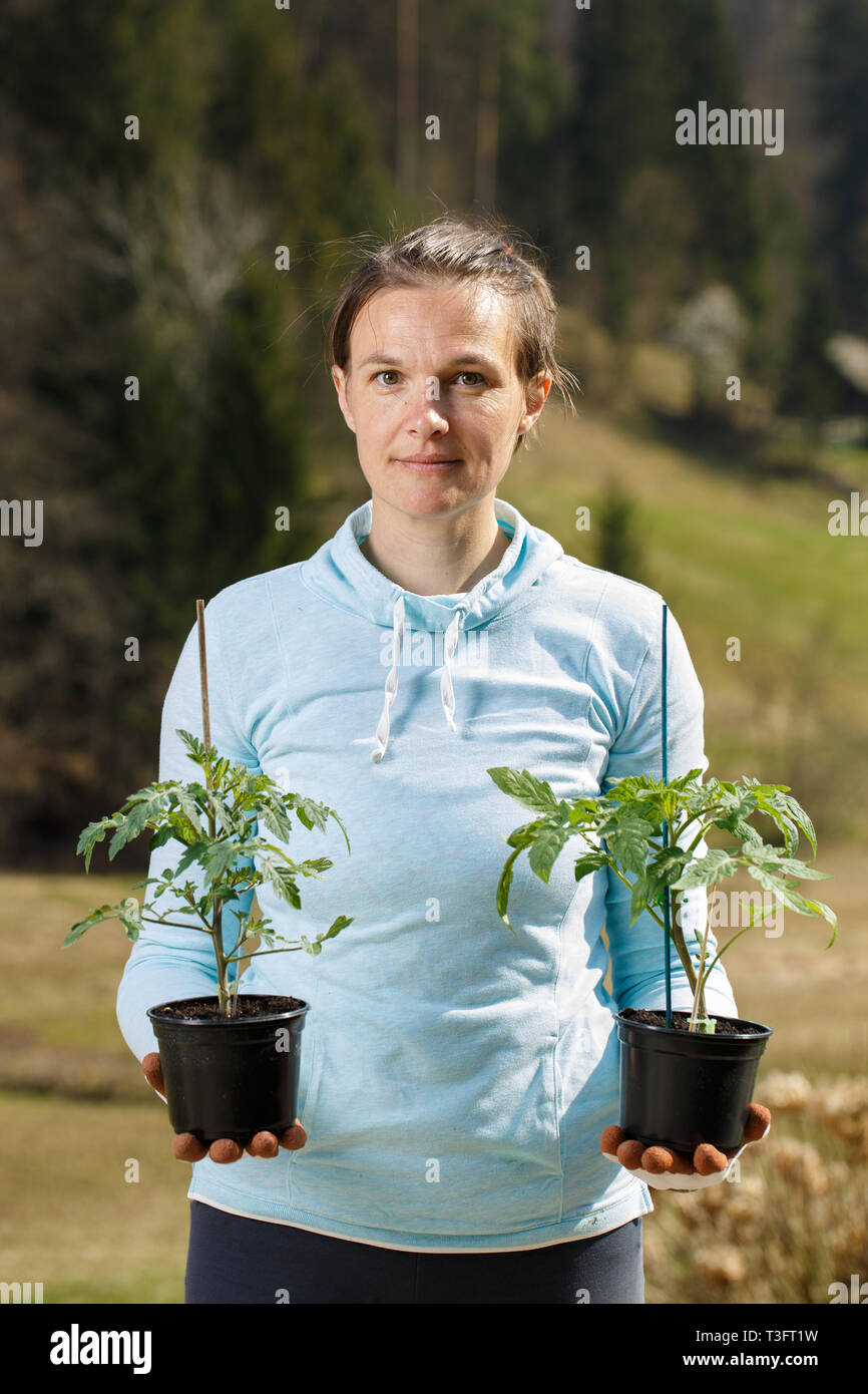 Femme tenant son jardinier semis de tomate prête à être plantée sur son jardin. Le jardinage biologique, l'alimentation saine, l'auto-approvisionnement et de tâches ménagères concept. Banque D'Images