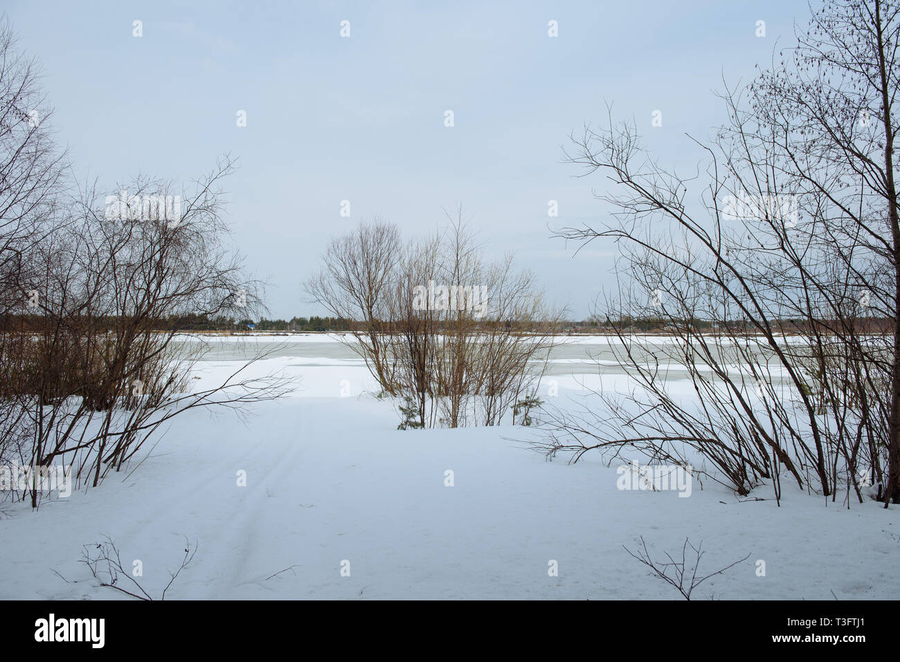 L'arrivée du printemps sur les rives de la rivière Vychegda. La glace s'assombrit. Bientôt, la dérive de la glace commence. Banque D'Images