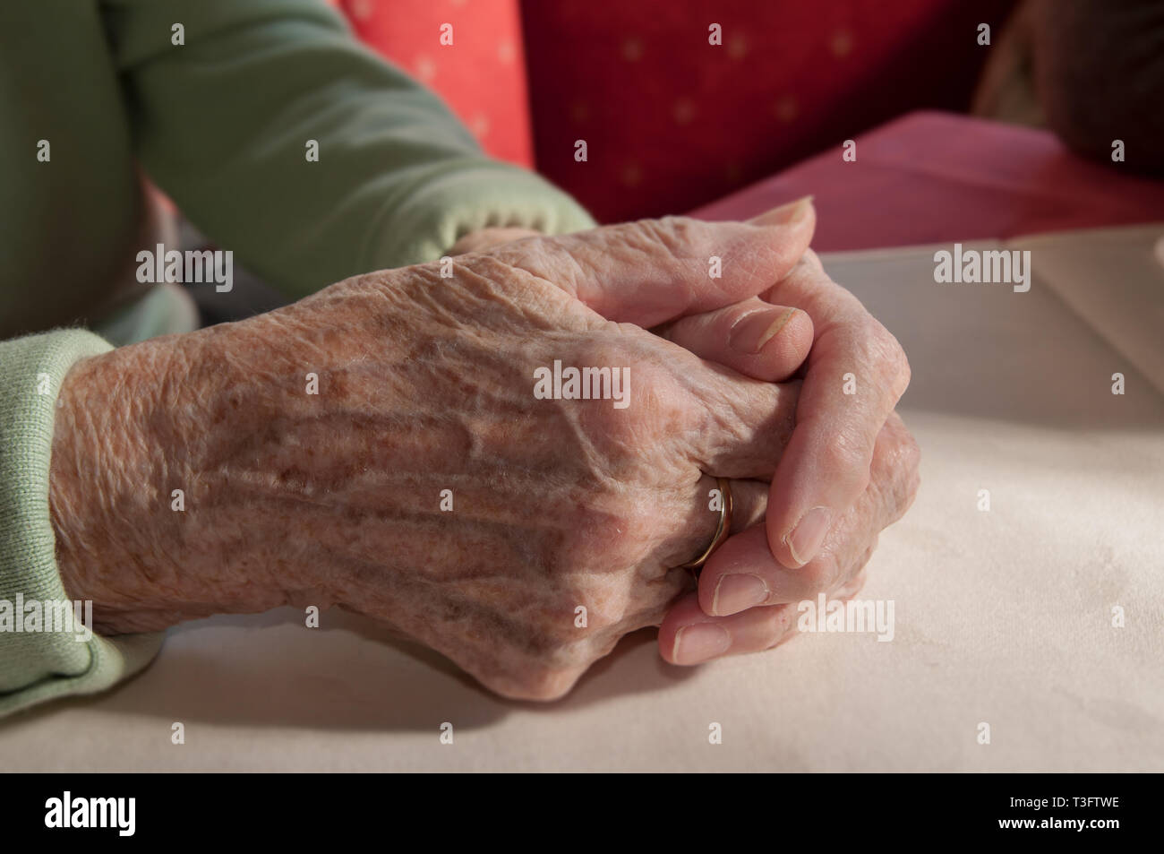 Close up of woman's hands plié Banque D'Images