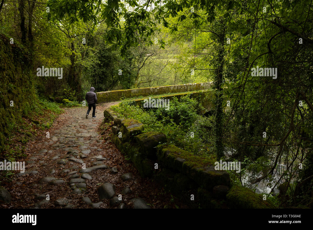 Vue arrière d'une personne randonnées seul dans la nature à la Serra da Peneda Gerês, Minho, au nord du Portugal, Europe Banque D'Images