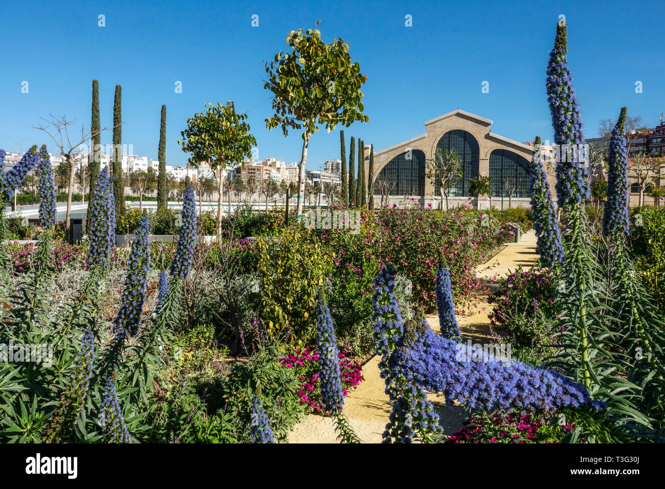 Valencia Ruzafa Valencia Central Park Valencia Russafa quartier Garden District City Park Valencia jardins Valencia Espagne Europe printemps mars Banque D'Images