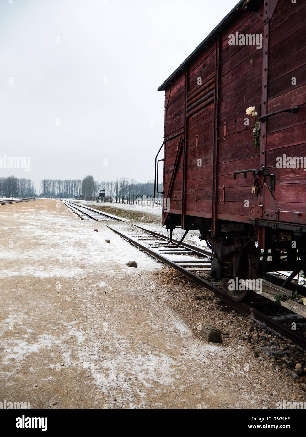 Les bovins camion utilisé pour le transport de prisonniers, d'Auschwitz Birkenau, camp de concentration, camp de la mort, en Pologne Banque D'Images