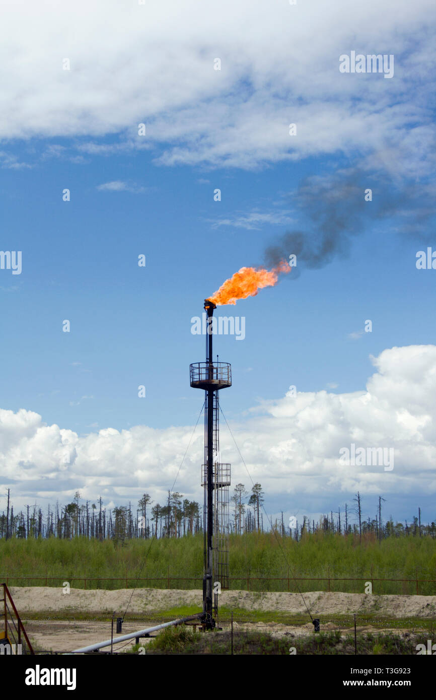 Flamme d'huile sur une raffinerie Banque D'Images