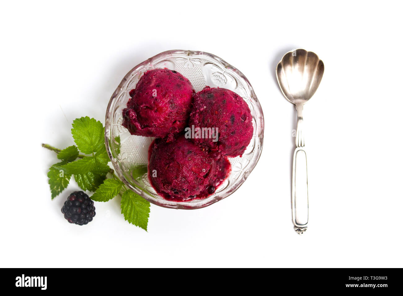 La crème glacée aux fruits Blackberry dans une tasse isolated on white Banque D'Images