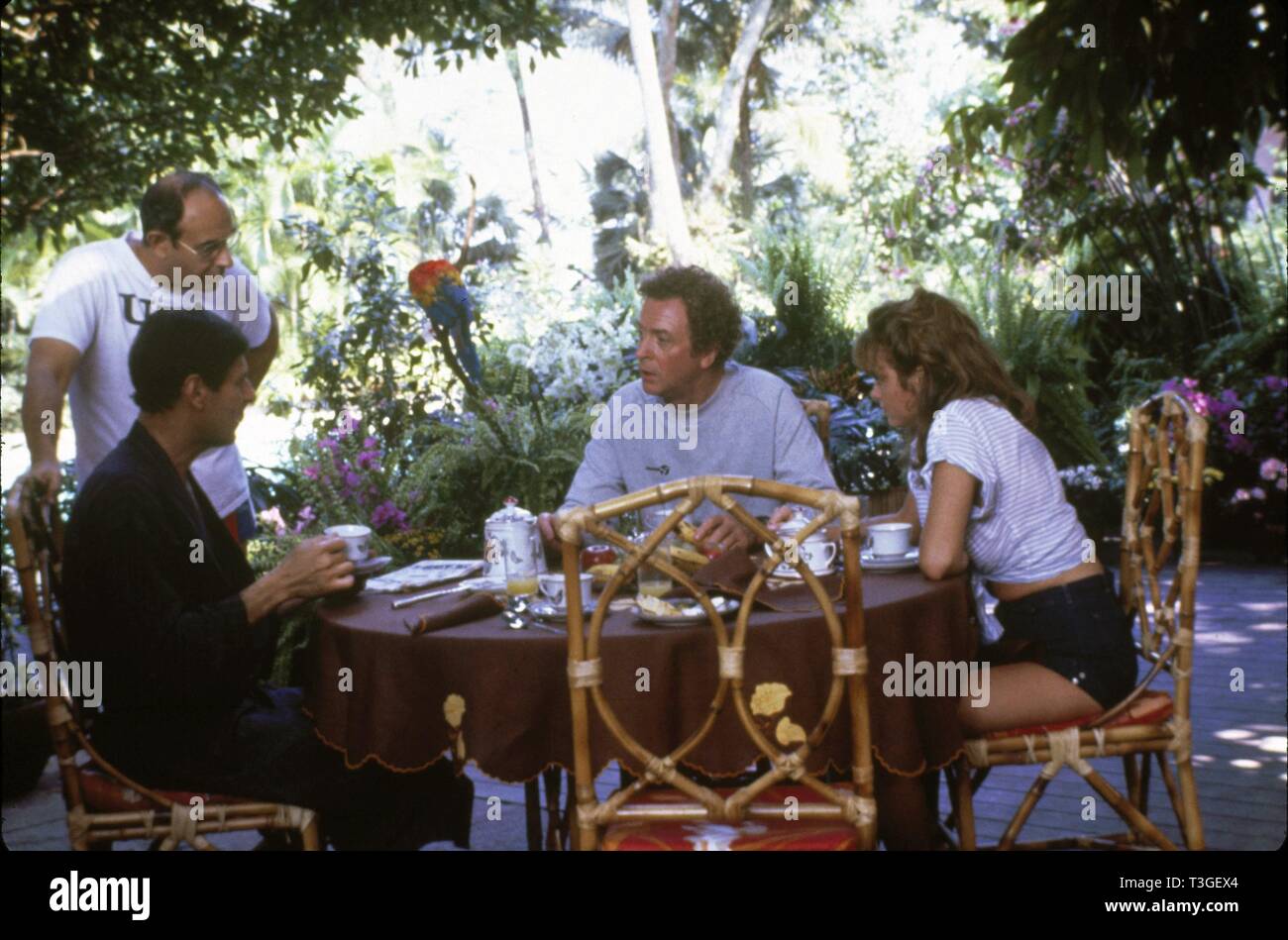 Blame It on Rio Année : 1984 USA Réalisation : Stanley Donen Stanley Donen, Joseph Bologne, Michael Caine, Michelle Johnson Shooting photo Banque D'Images