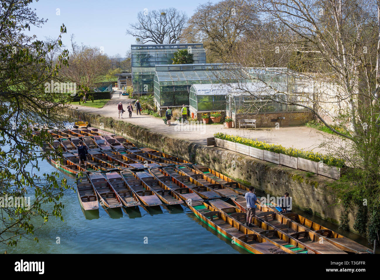Oxford Botanic Gardens au début du printemps avec plates traditionnelles sur la rivière Cherwell Banque D'Images