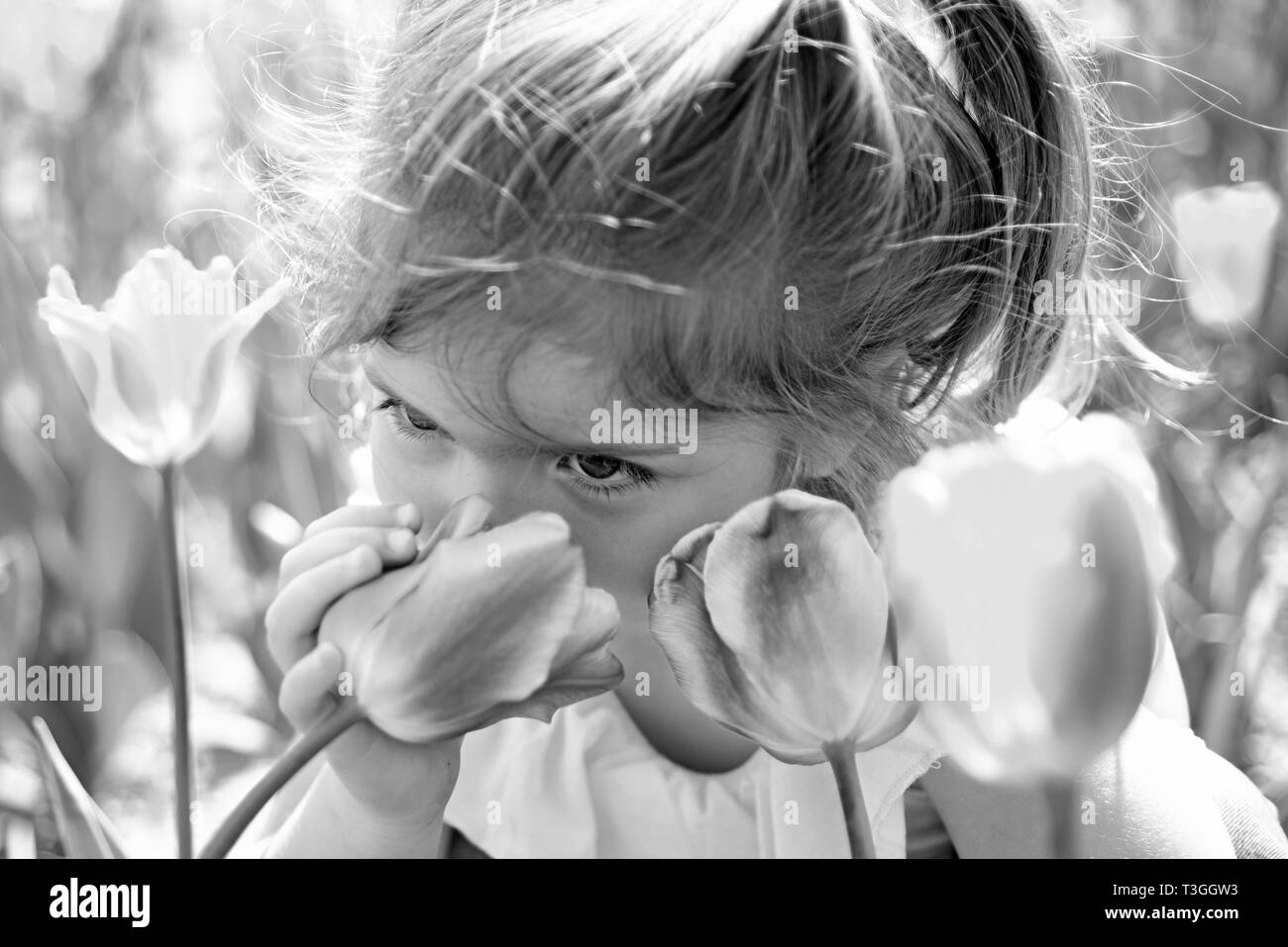 Allergie Alimentaire Banque D Images Noir Et Blanc Page 3 Alamy Allergie Alimentaire Banque D Images Noir Et Blanc Page 3 Alamy