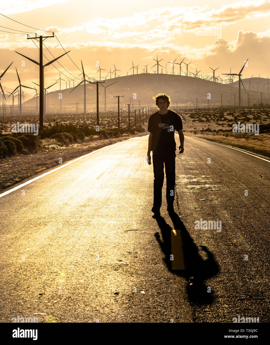Le dirigeant d'une figure sur une autoroute du désert est éclipsé par une heure d'or couverte de moulins à vent paysage près de Palm Springs en Californie. Banque D'Images