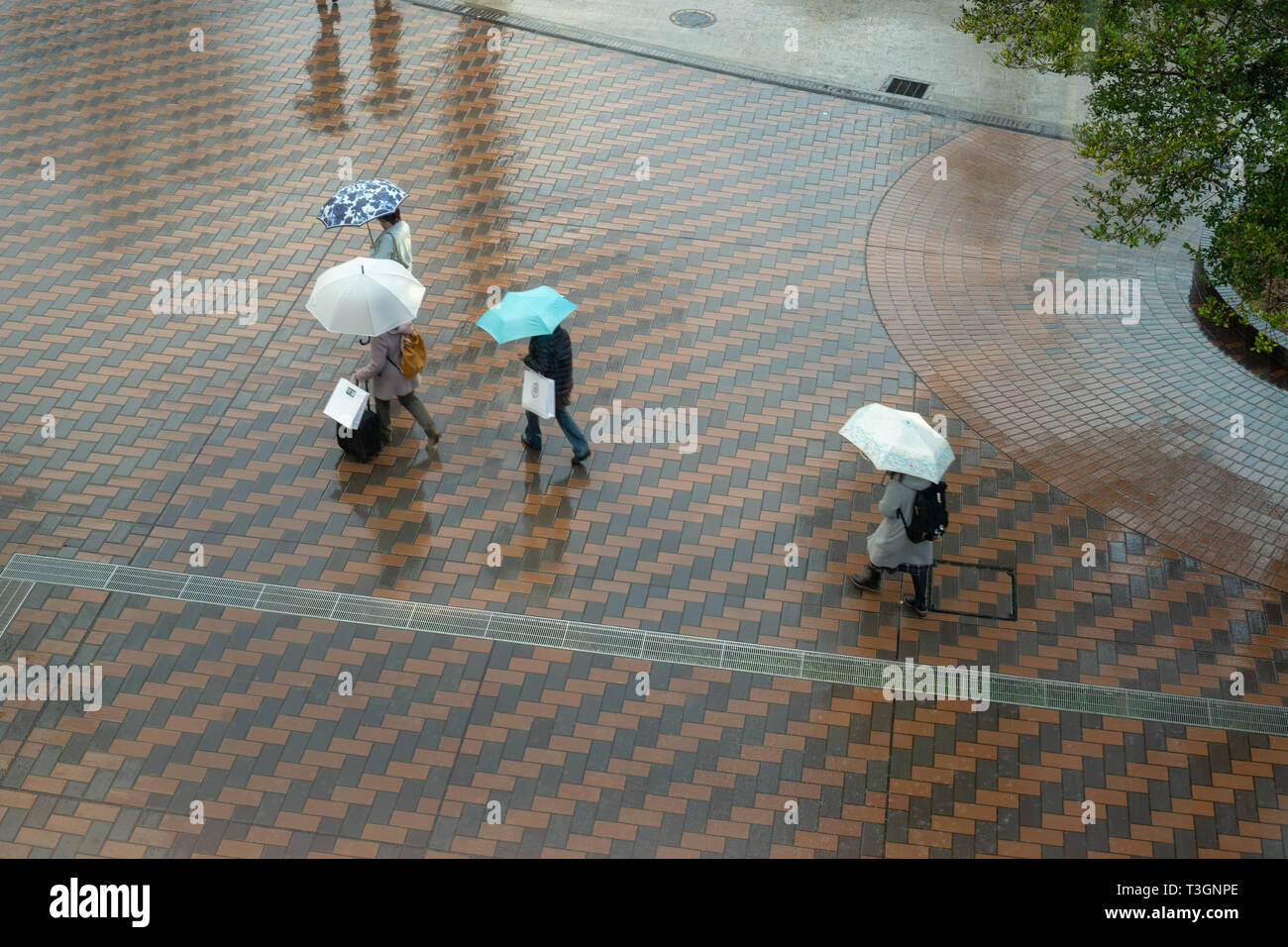 Les gens à Tokyo il suffit de laisser leur parapluie à l'extérieur sans surveillance lorsqu'ils vont à l'intérieur du bâtiment. Il n'y a pratiquement pas de vols dans la ville. Banque D'Images