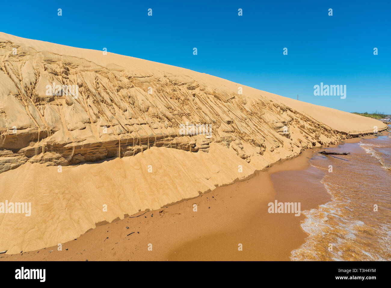 L'île des dunes 'Las Dunas de San Cosme y Damian' au milieu du Rio Parana près de la ville de Encarnacion Paraguay. Banque D'Images