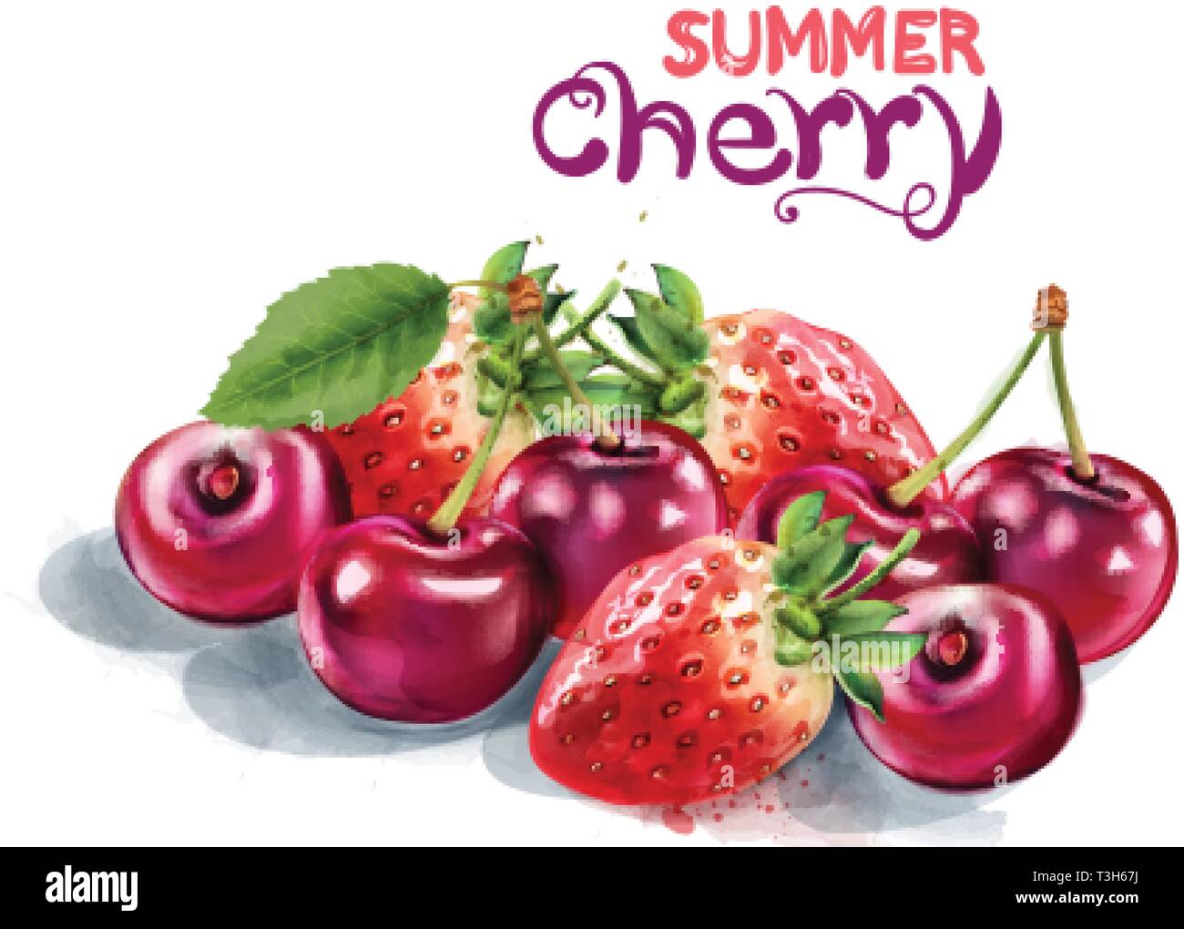 Vecteur de fraise et de cerise à l'aquarelle. Carte d'été Illustration de Vecteur