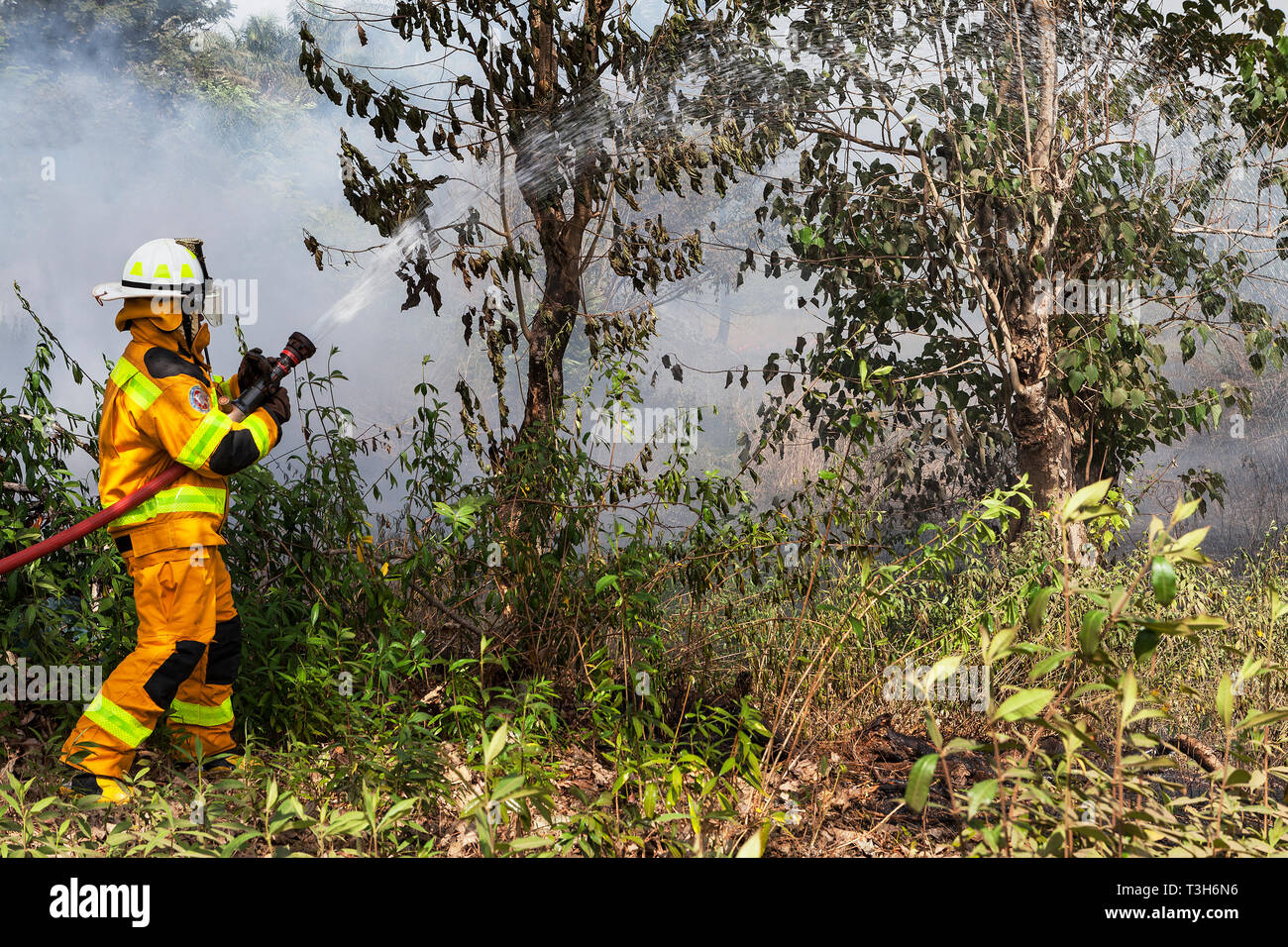 Les Sierra-Léonais dans la formation de l'équipe d'intervention dans la lutte contre l'incendie s'incendie se déclare entre forêt locale et communautaire en utilisant les flexibles des offres Banque D'Images