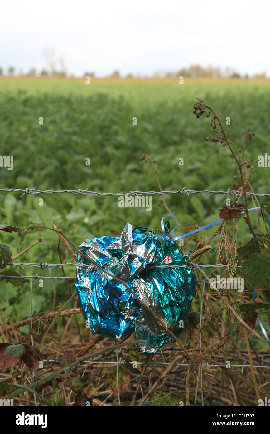 Restes d'un ballon ou une lanterne pris dans une clôture de barbelés dans la campagne britannique. Banque D'Images