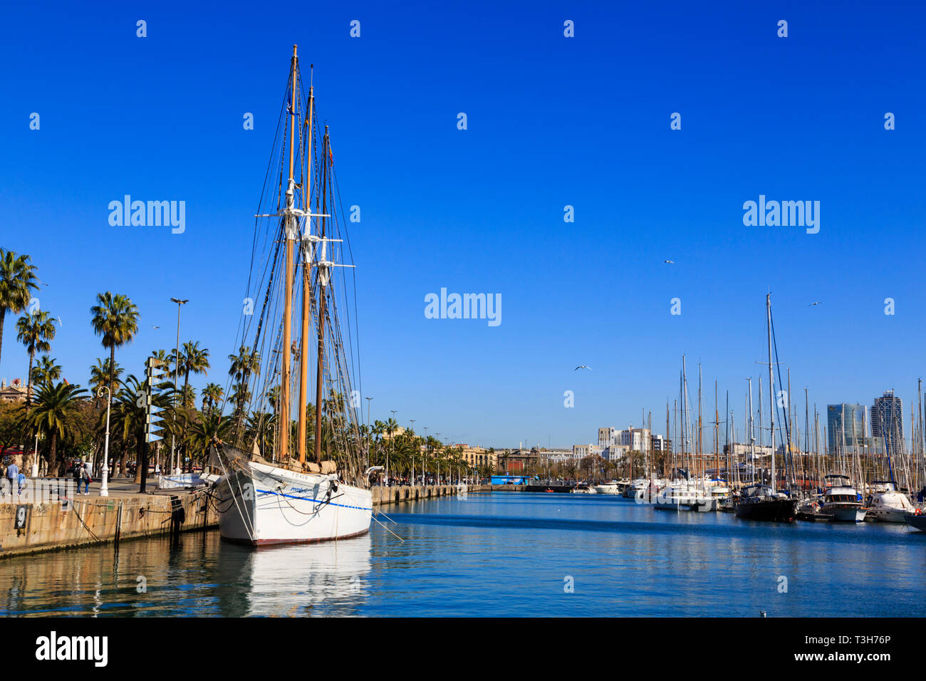 Grands Voiliers et yachts amarrés dans la Marina Port Vell, Barcelone Espagne. Banque D'Images