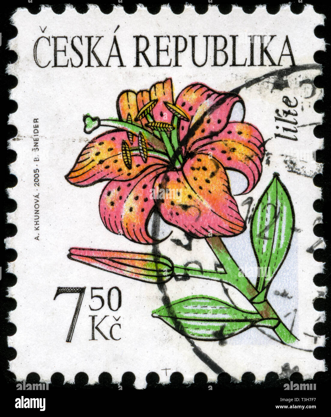 Timbre-poste à partir de la Slovaquie dans le questions définitives - beauté des fleurs série émise en 2005 Banque D'Images