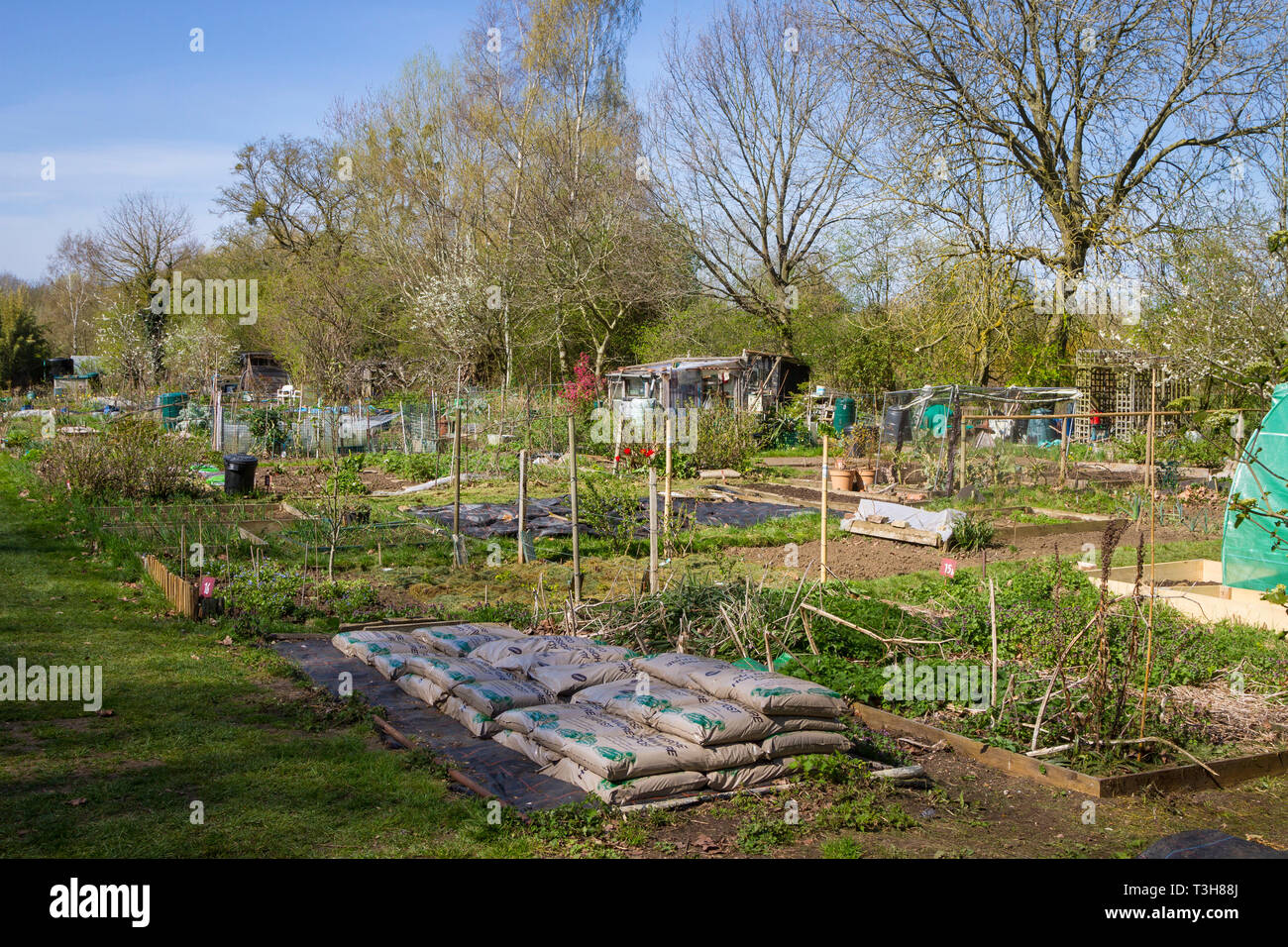 Allotissements à Hinksey, Oxford Banque D'Images