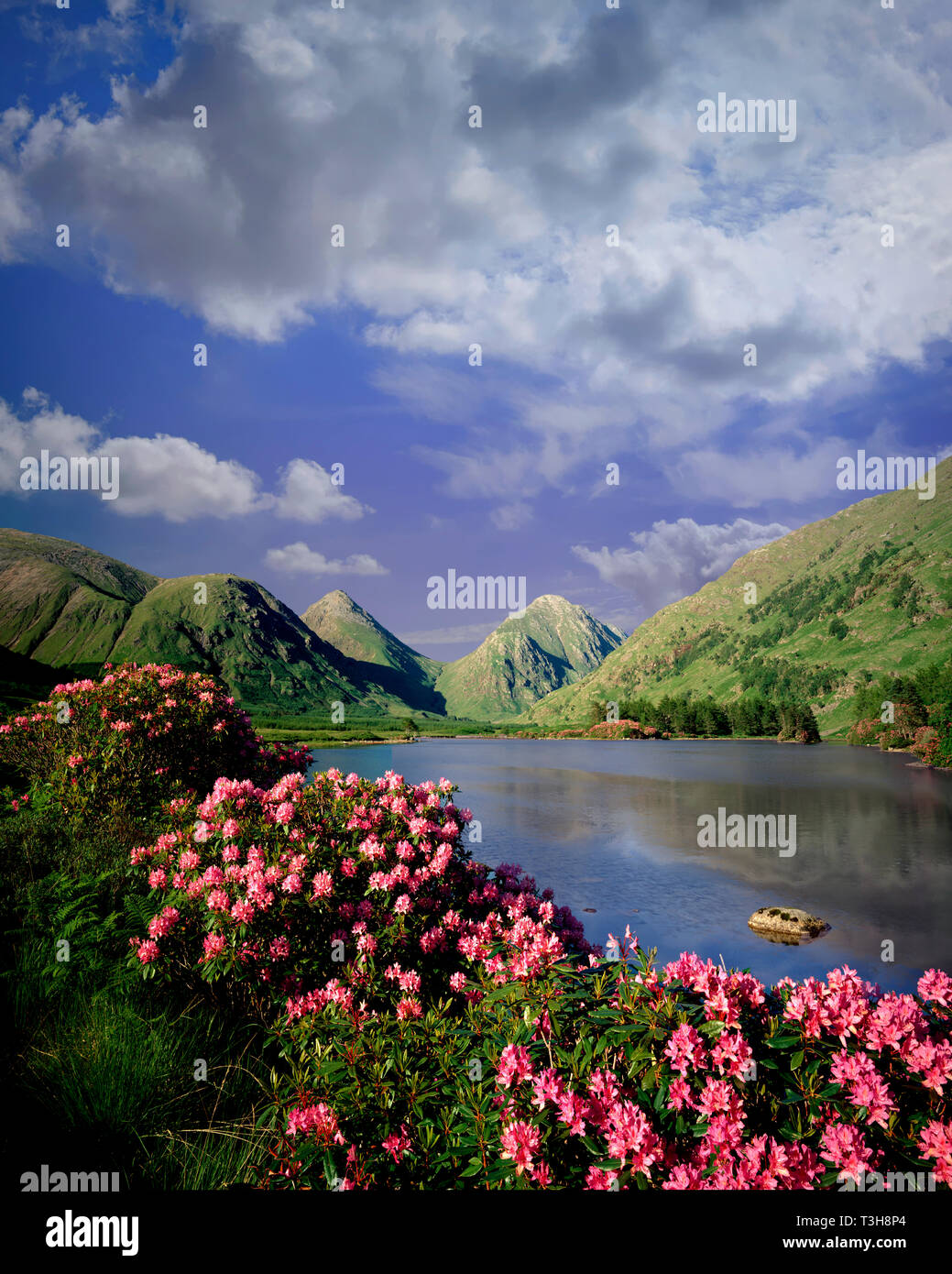 GB - Ecosse : Glen Etive dans les Highlands Banque D'Images