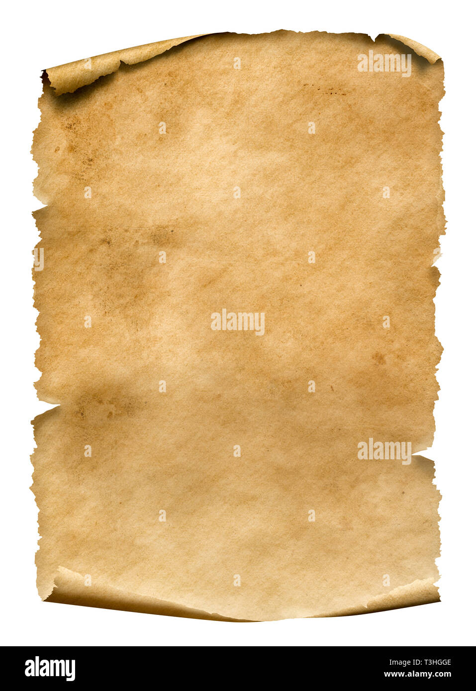 Ancienne feuille de papier usé isolated on white Banque D'Images