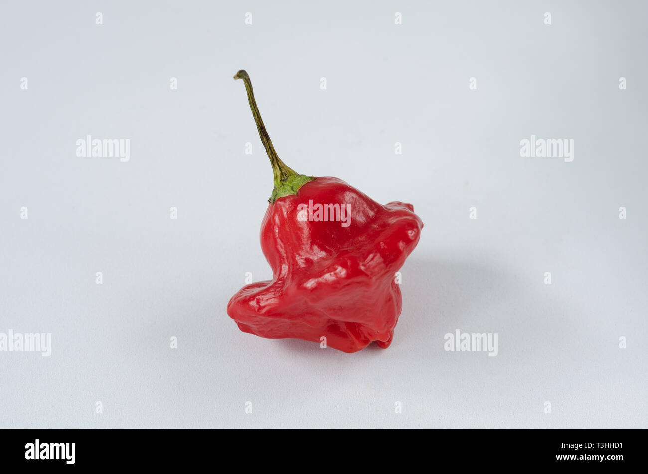 Piment rouge sur fond blanc. Le poivre. Chili Pepper. Banque D'Images