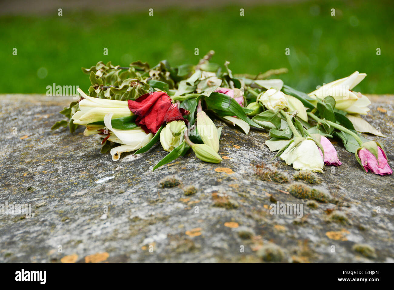 Gros plan de fleurs flétrissantes reposant sur une tombe dans un cimetière anglais Banque D'Images