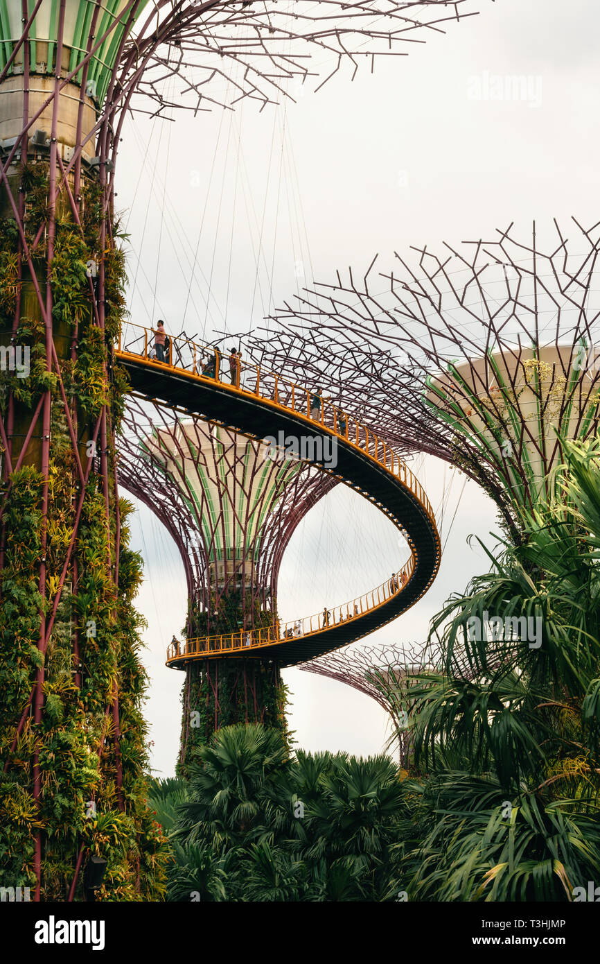 Singapour - 2 Avril, 2018 : Jardins de la baie. Les arbres géants futuristes et de magnifiques fleurs roses en parc. Ville de l'avenir concept. Banque D'Images