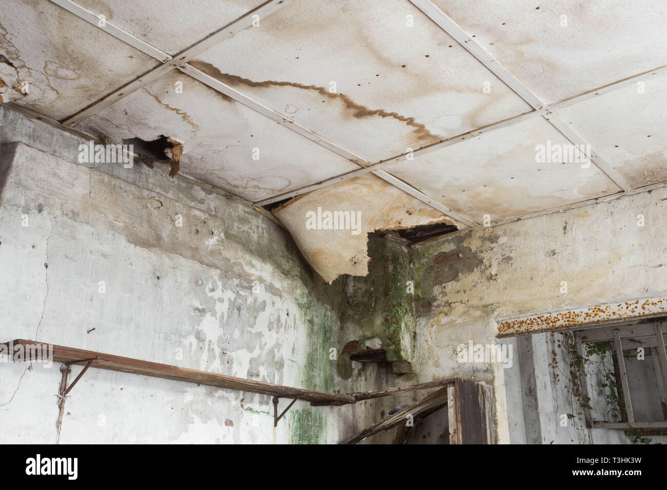 Plafond endommagé à partir de la fuite d'eau dans la vieille maison abandonnée Banque D'Images