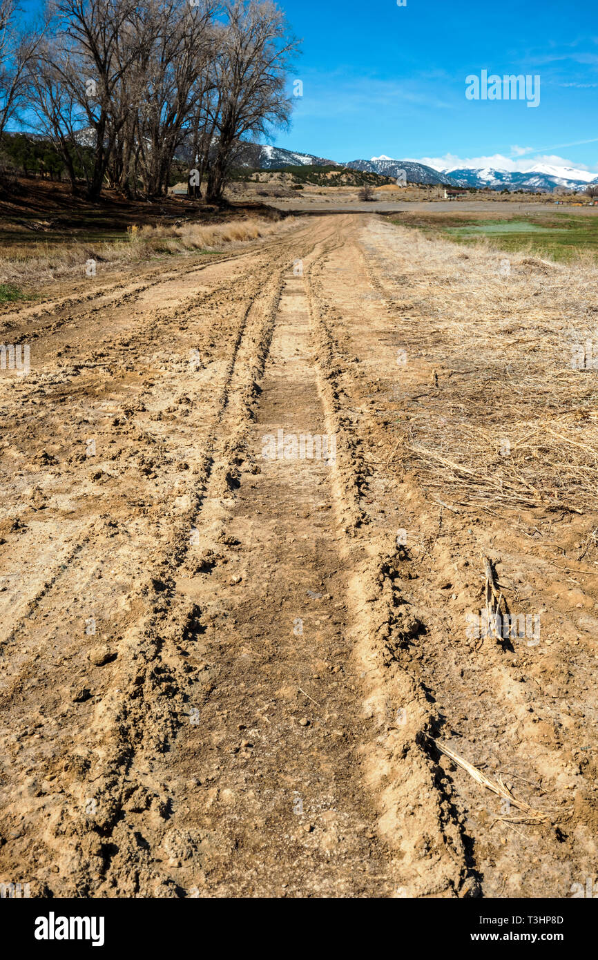 Les traces de pneus boueux dans un ranch chemin de terre ; le centre du Colorado, USA Banque D'Images