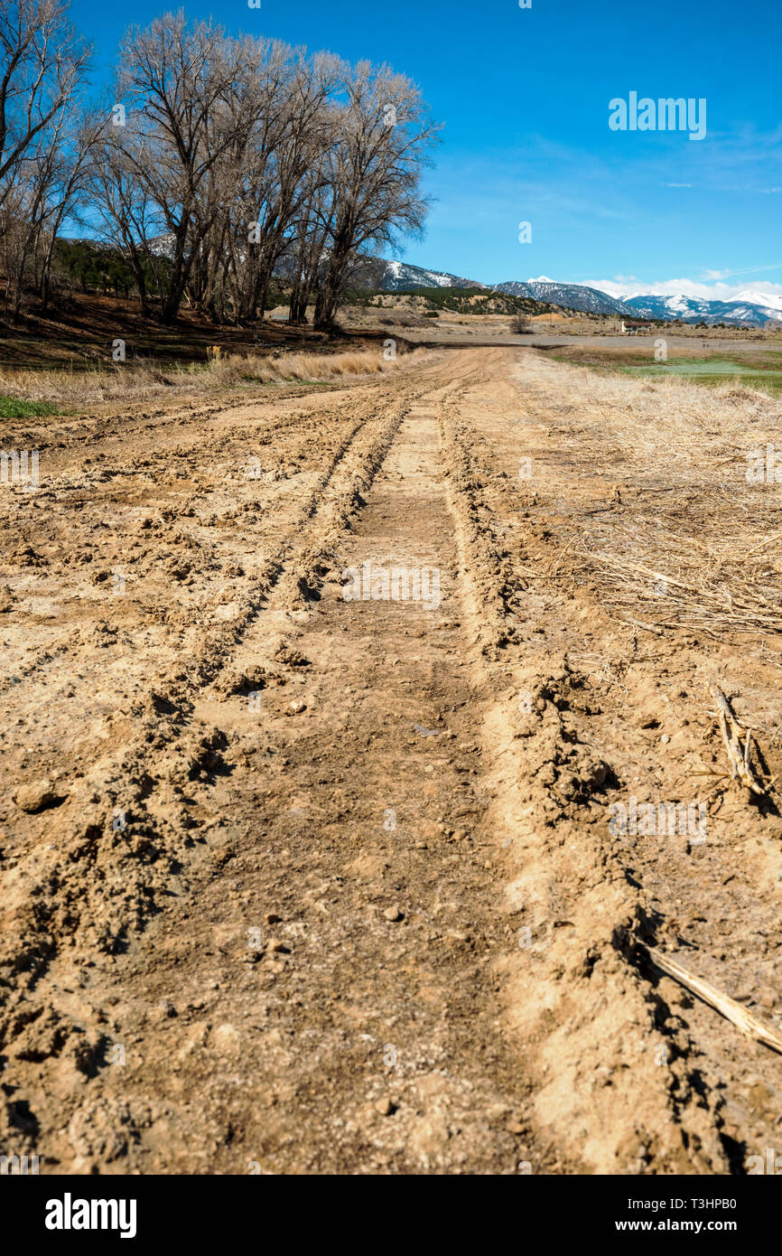 Les traces de pneus boueux dans un ranch chemin de terre ; le centre du Colorado, USA Banque D'Images