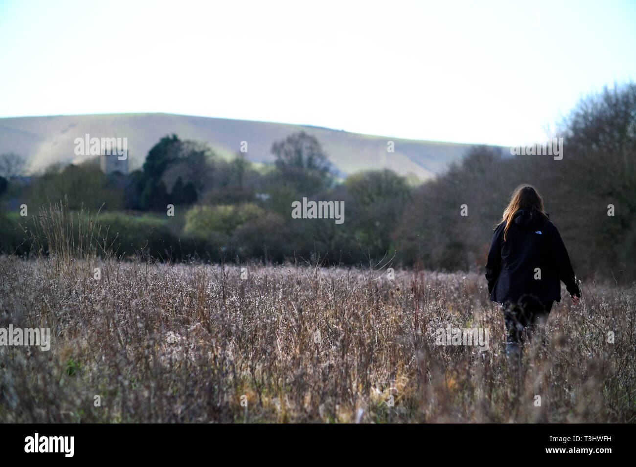 Femme marche dans un champ de mauvaises herbes Banque D'Images