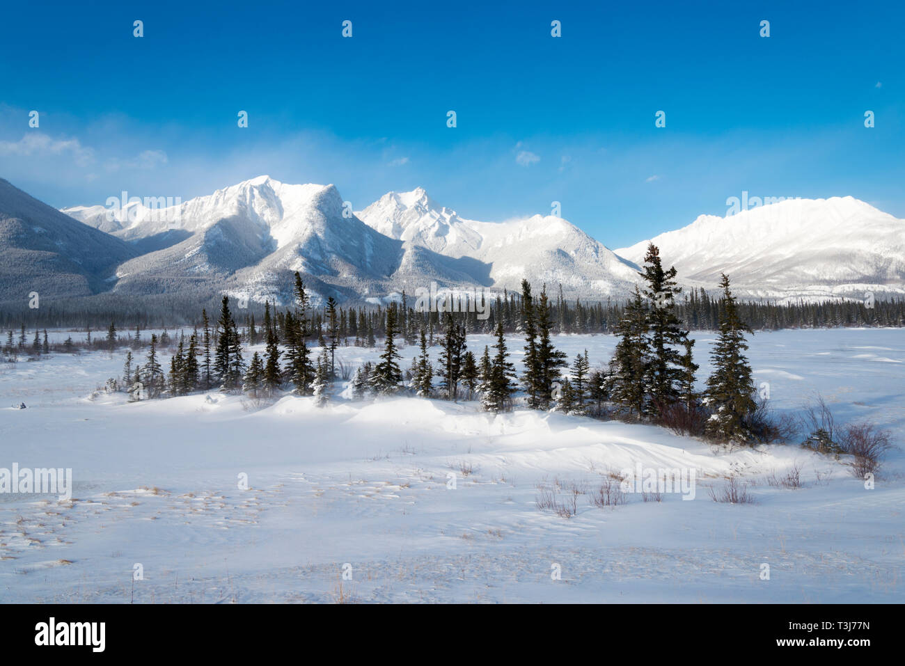 L'hiver dans l'ouest de l'Alberta Canada Banque D'Images