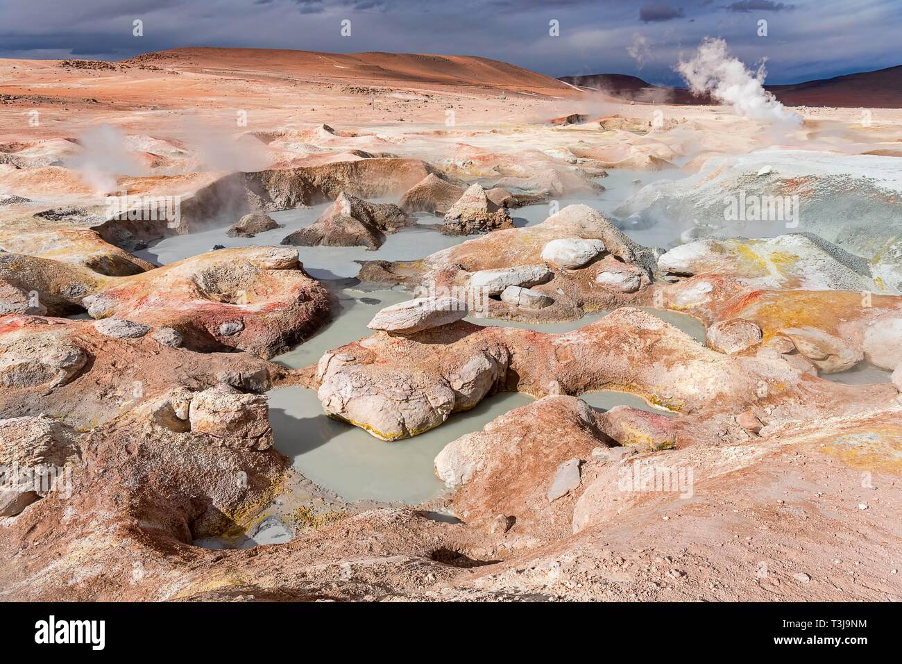 Sol de Manana Geysir, 4,861 m d'altitude, frontière du Chili, Andes, Potosi, Bolivie Banque D'Images