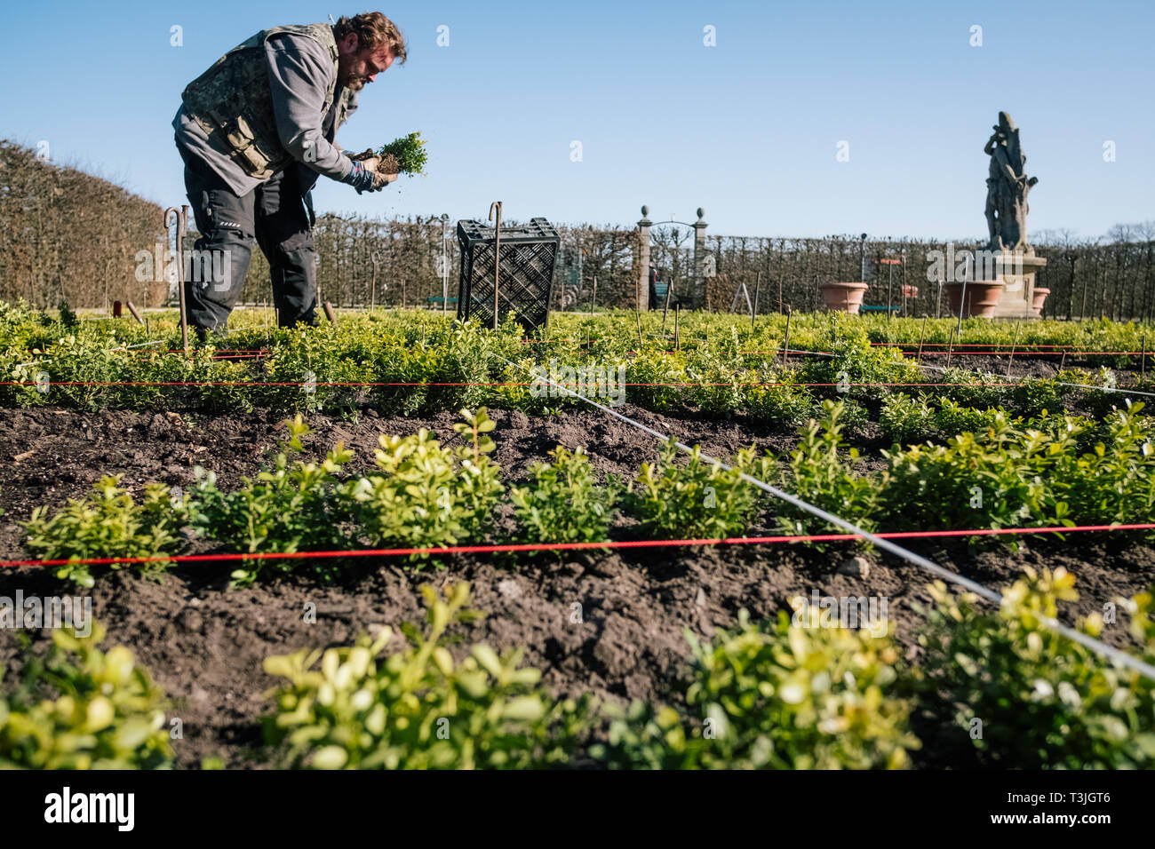 Hanovre, Allemagne. 01 avr, 2019. Sebastian jardinier arbres plantes Herrenhausen fort dans le jardin de style Renaissance. Les jardins Herrenhäuser a enregistré un nombre record de visiteurs l'année dernière. Toutefois, certains projets de rénovation sont nécessaires. Environ 20 millions d'euros sont disponibles. C'est également d'être utilisés pour de nouvelles constructions. Credit : Ole Spata/dpa/Alamy Live News Banque D'Images
