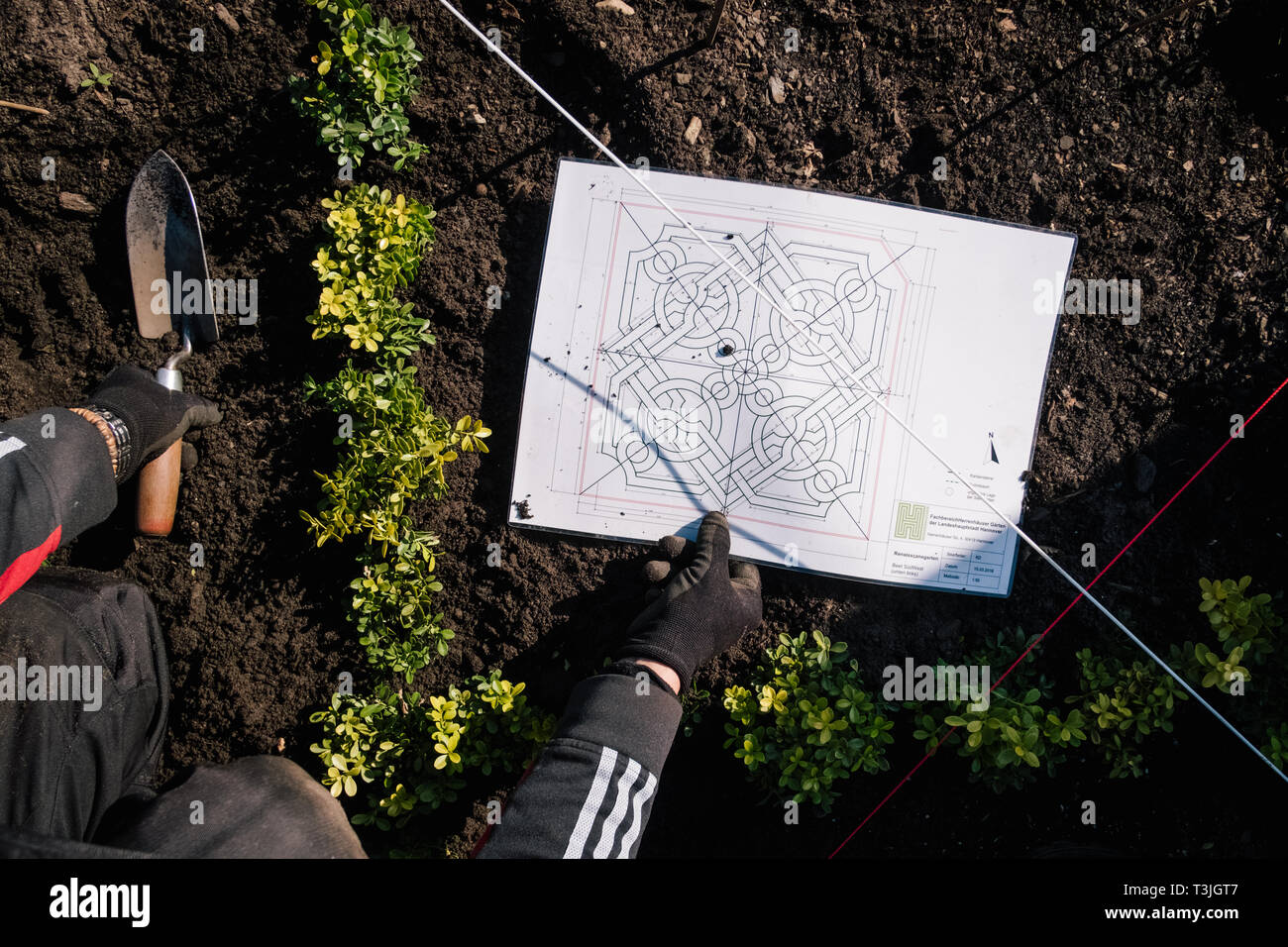 Hanovre, Allemagne. 01 avr, 2019. Mario jardinier arbres plantes Herrenhausen fort dans le jardin de style Renaissance. Les jardins Herrenhäuser a enregistré un nombre record de visiteurs l'année dernière. Toutefois, certains projets de rénovation sont nécessaires. Environ 20 millions d'euros sont disponibles. C'est également d'être utilisés pour de nouvelles constructions. Credit : Ole Spata/dpa/Alamy Live News Banque D'Images