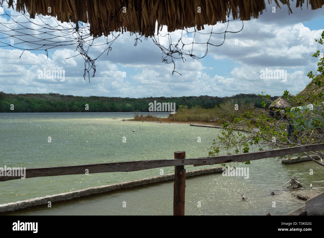Aussi connu sous le nom de Chichankanab Chichancanab,est un ancien lac dans la région de Quintana Roo qui pourrait détenir le secret de la mystérieuse civilisation maya s'effondrer. Banque D'Images