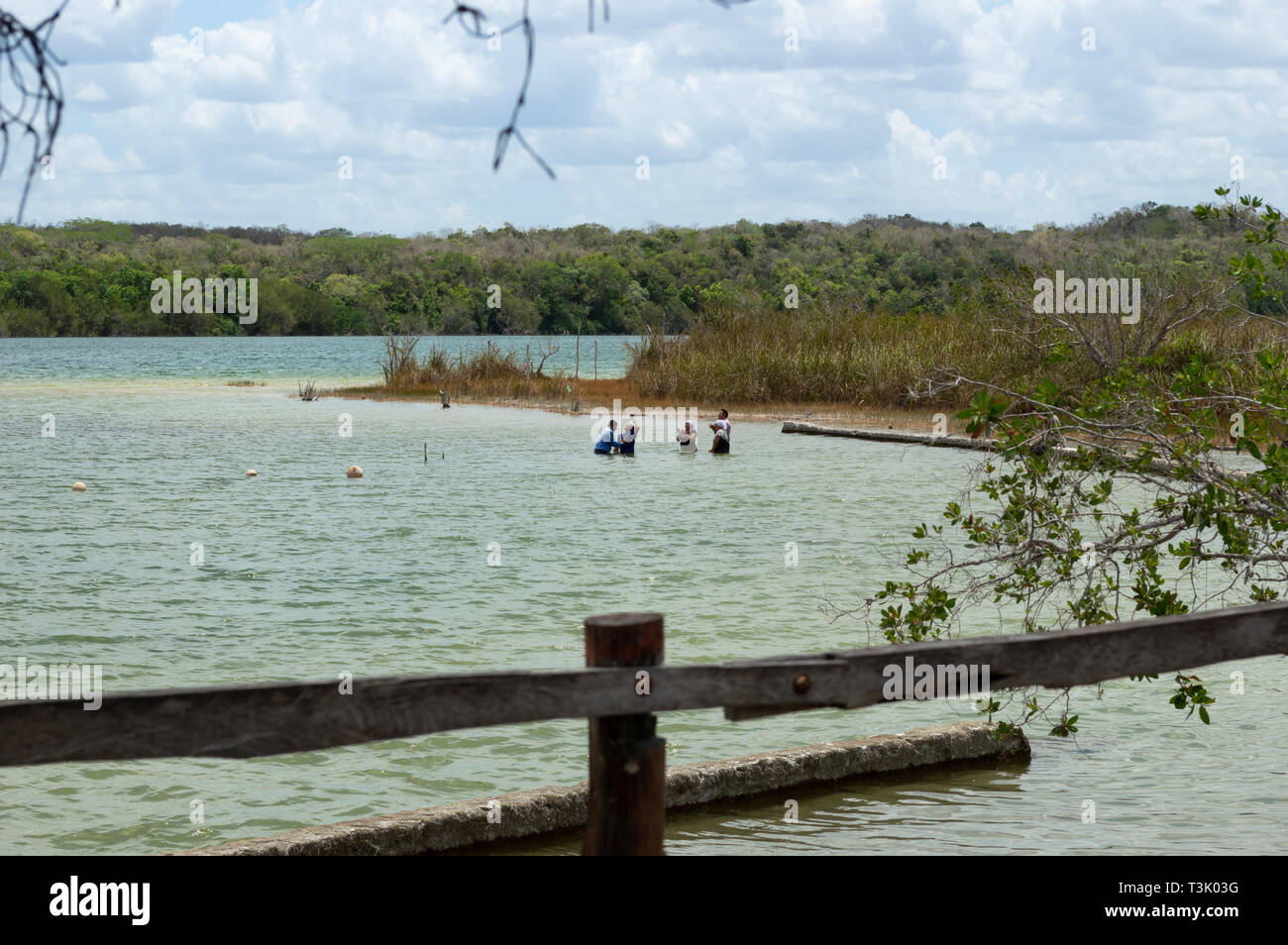 Aussi connu sous le nom de Chichankanab Chichancanab,est un ancien lac dans la région de Quintana Roo qui pourrait détenir le secret de la mystérieuse civilisation maya s'effondrer. Banque D'Images
