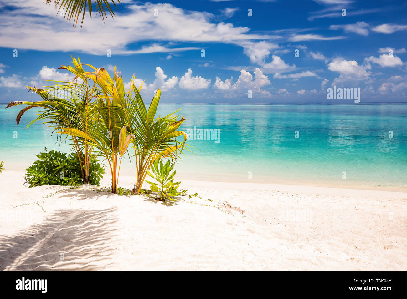 Belle plage sur l'océan Banque D'Images