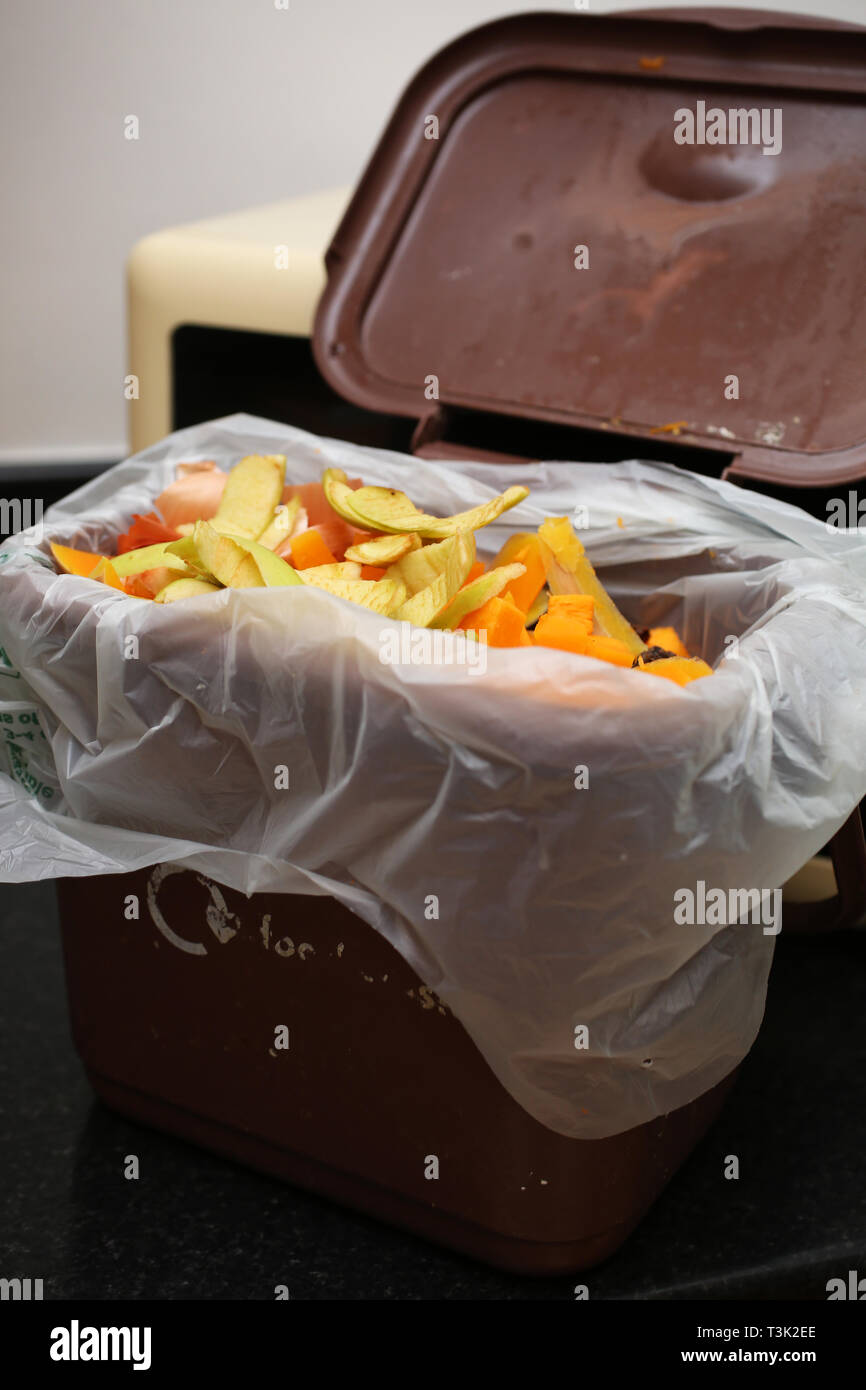 Vues générales des déchets alimentaires recueillies pour une boîte de recyclage des déchets alimentaires marron dans une maison à Southampton, Hampshire, Royaume-Uni. Banque D'Images