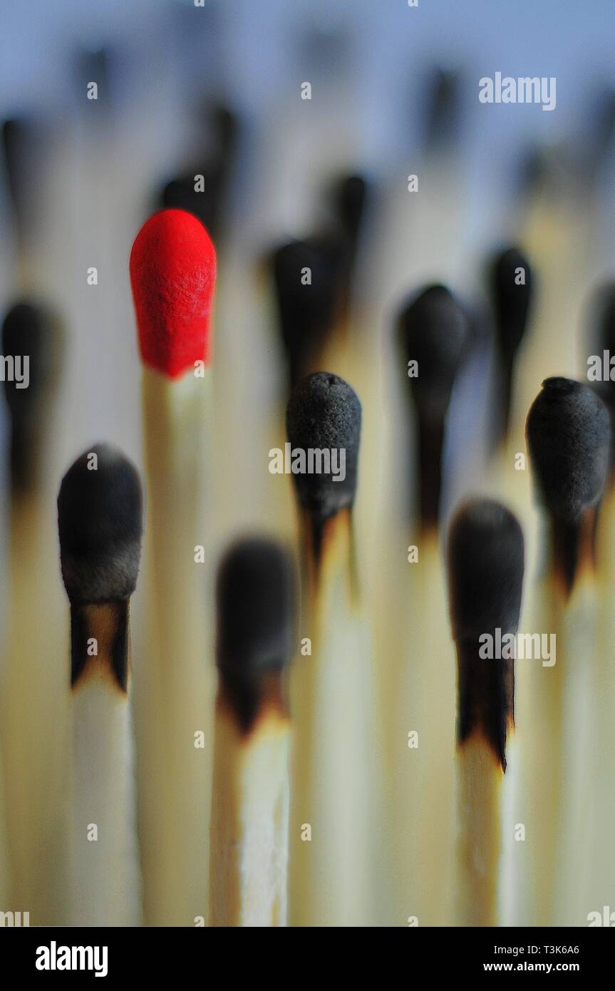 Match inutilisés entouré d'allumettes brûlées Banque D'Images