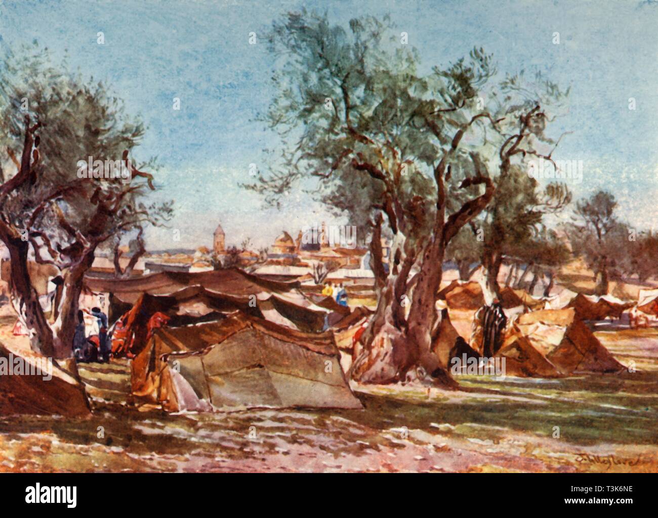 Campement Bédouin "à l'extérieur de la paroi nord de Jérusalem", 1902. Créateur : John Fulleylove. Banque D'Images