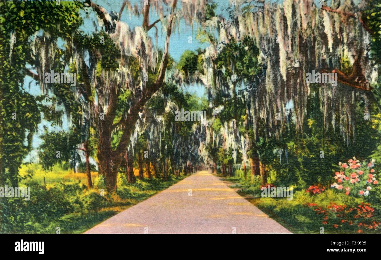 'Un Costumes de scène de l'autoroute dans les Carolines', 1942. Créateur : Inconnu. Banque D'Images