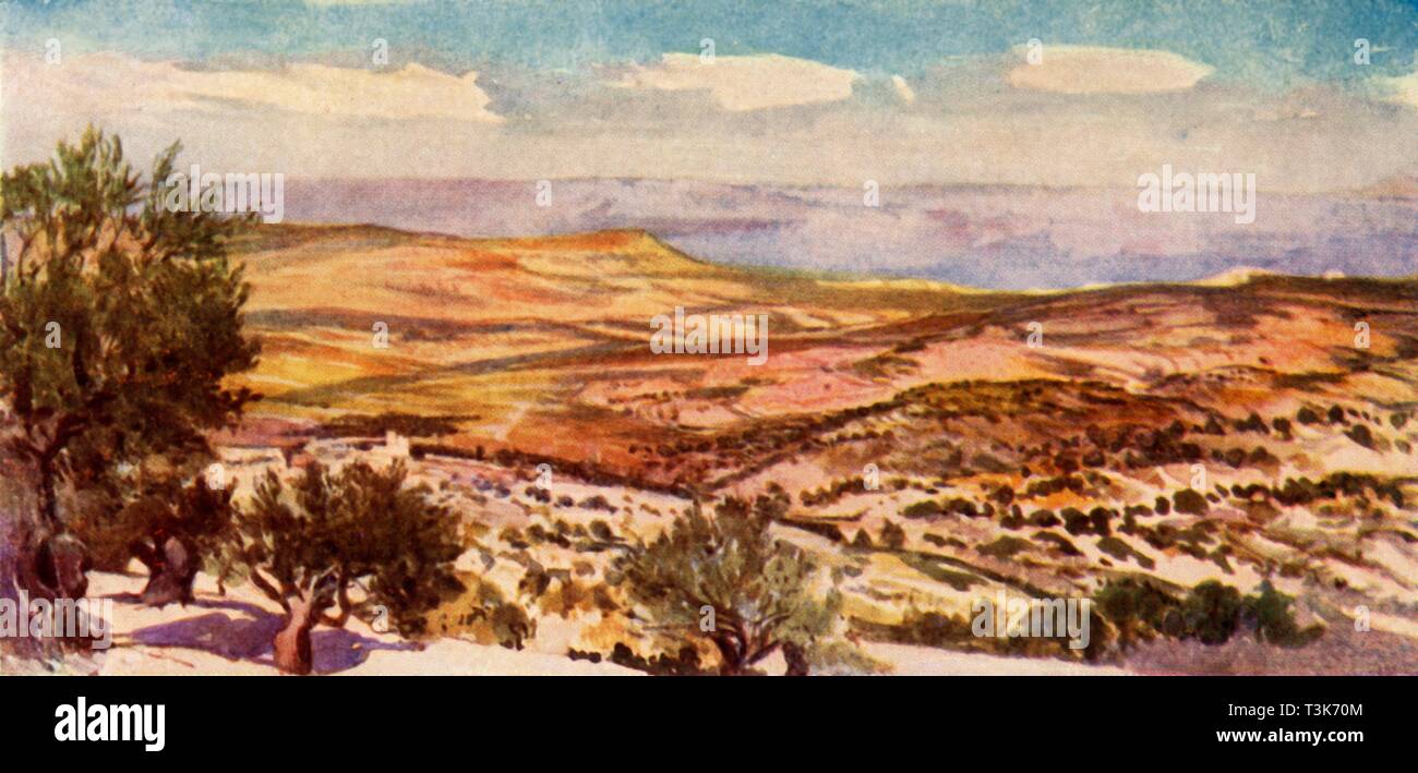 'Les champs de Ruth et Boaz près de Bethléem", 1902. Créateur : John Fulleylove. Banque D'Images