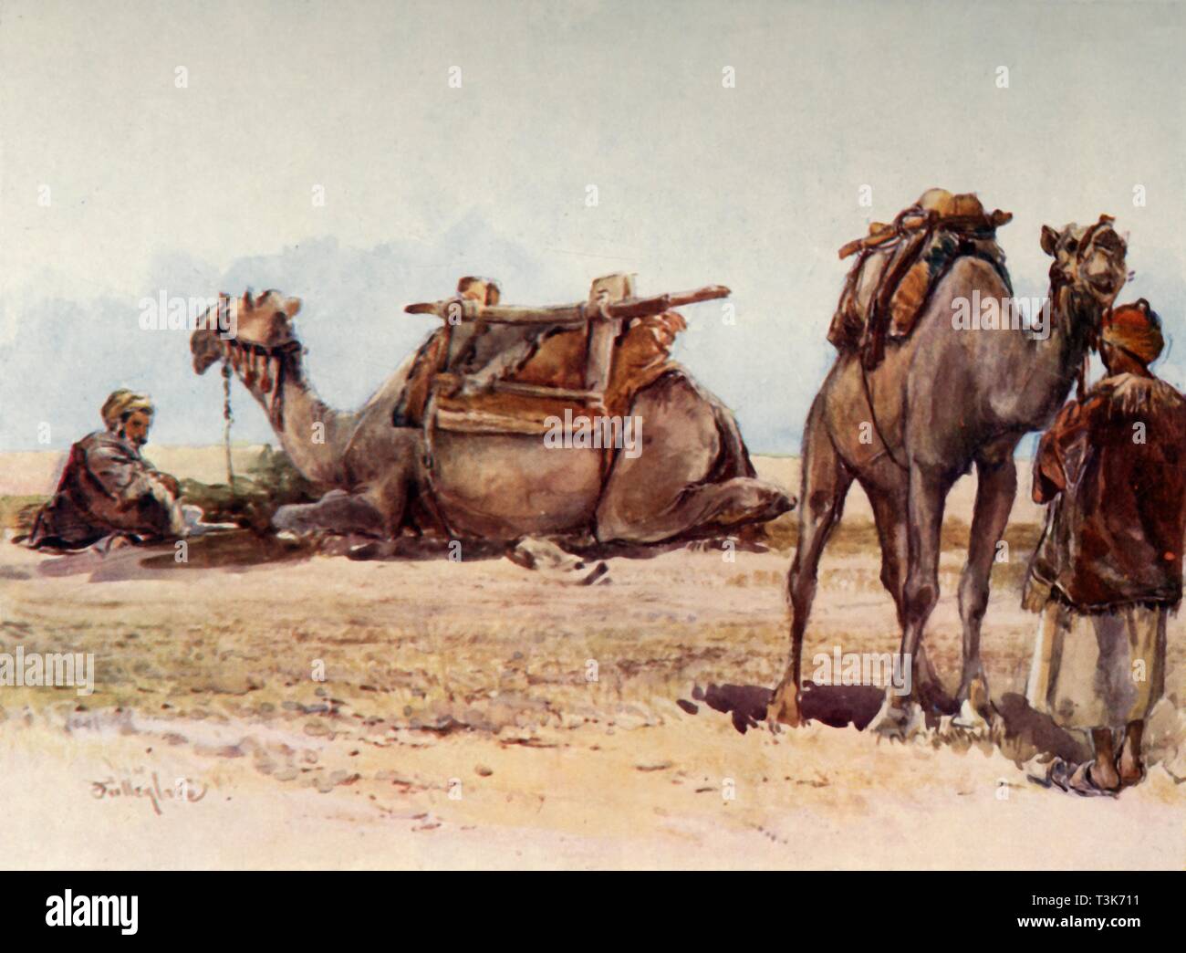 "Étude des chameaux et de bord, 1902. Créateur : John Fulleylove. Banque D'Images