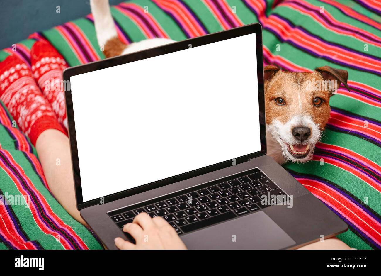 Immersive image de jeune femme à l'aide d'un ordinateur portable avec écran de bureau blanc et vide et le chien à la propriétaire à Banque D'Images