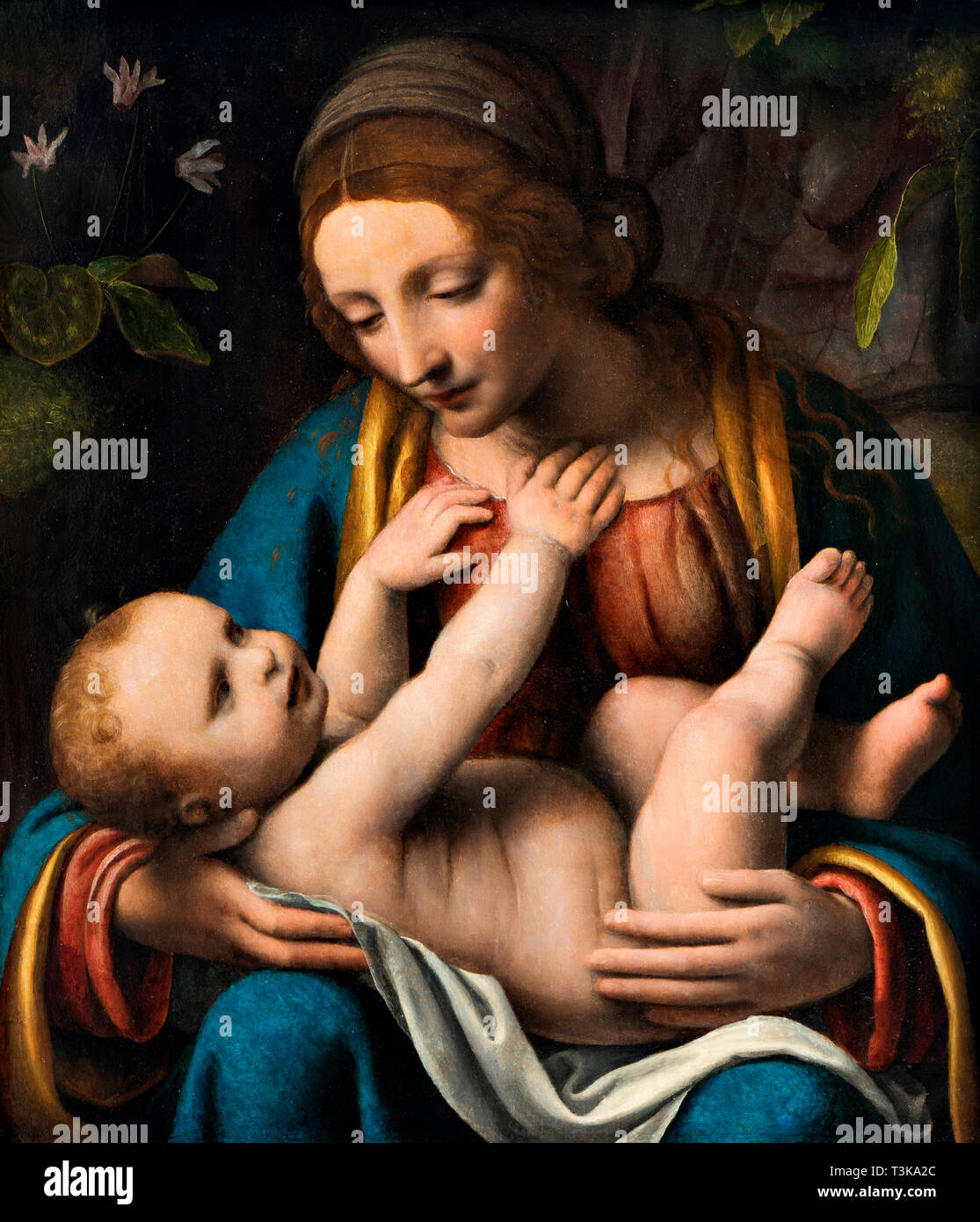 Vierge et l'enfant, 1515-1523. Organisateur : Luini, Bernardino (ca. 1480-1532). Banque D'Images